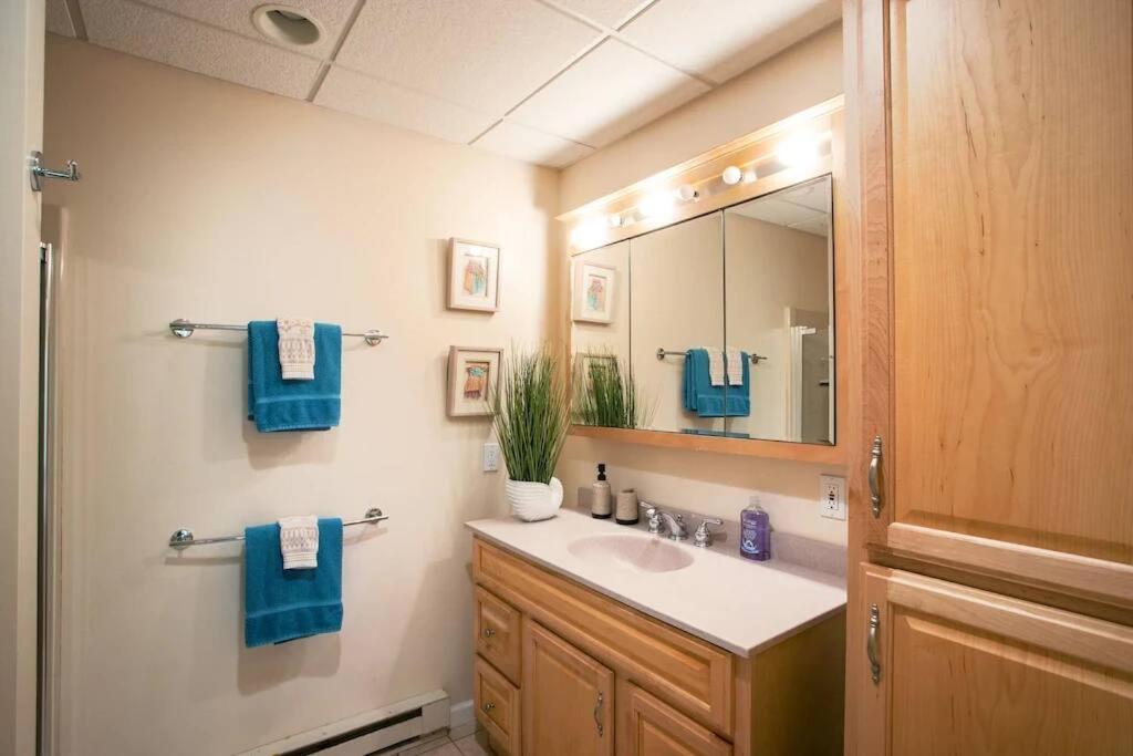 Spacious 3Br 3Ba Sleeps 8 Ski On Off Jiminy Mountain Resort Hancock Exteriér fotografie