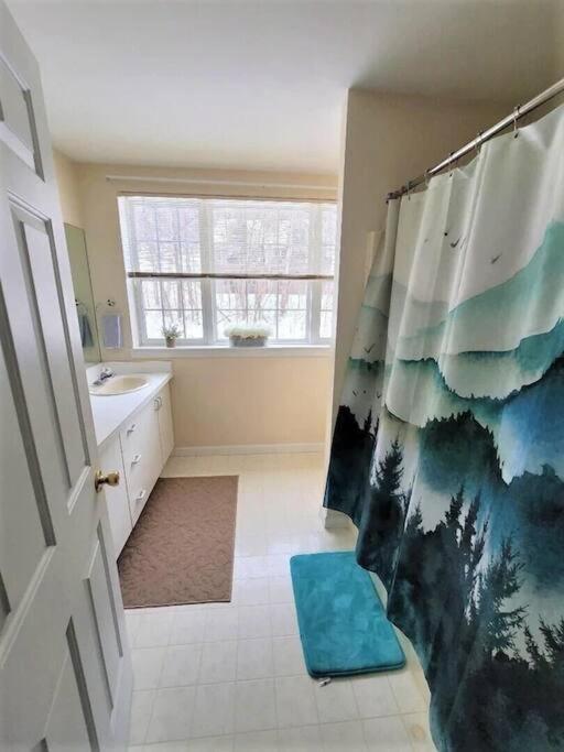 Spacious 3Br 3Ba Sleeps 8 Ski On Off Jiminy Mountain Resort Hancock Exteriér fotografie